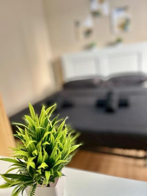Residence Zar 8 Triëst Buitenkant foto